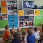 Pszczółki oglądają film edukacyjny o gwiazdonosie amerykańskim