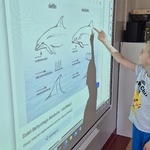 Innowacja pedagogiczna