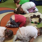 Innowacja pedagogiczna
