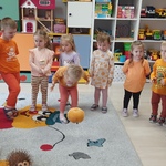 Święto Dyni 2025