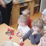 Dzieci pieką pierniczki.