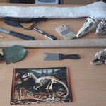 Warsztaty paleontologiczne.