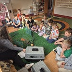 Zwierzakowa edukacja