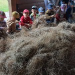 Dzieci formują kule z siana