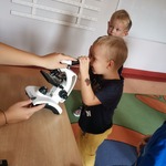 Zabawy badawcze z mikroskopami w grupie Pszczółki