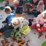 Dzień Pluszowego Misia
